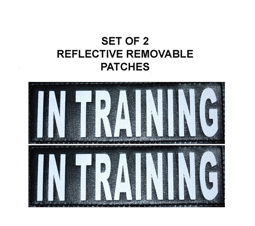 Thumbnail: Reflective Removable Patches