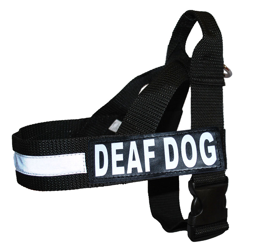 Thumbnail: Strap No Pull Harness