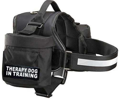 Thumbnail: Working "Therapy Dog In Training" Harness w/ Removable Side Bags