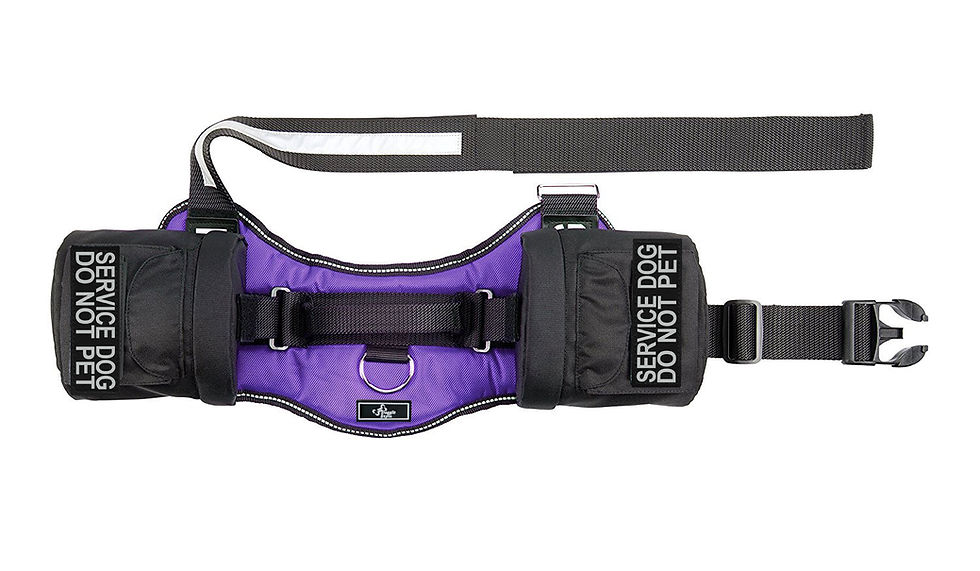 Thumbnail: Working "Service Dog Do Not Pet" Harness w/ Removable Side Bags