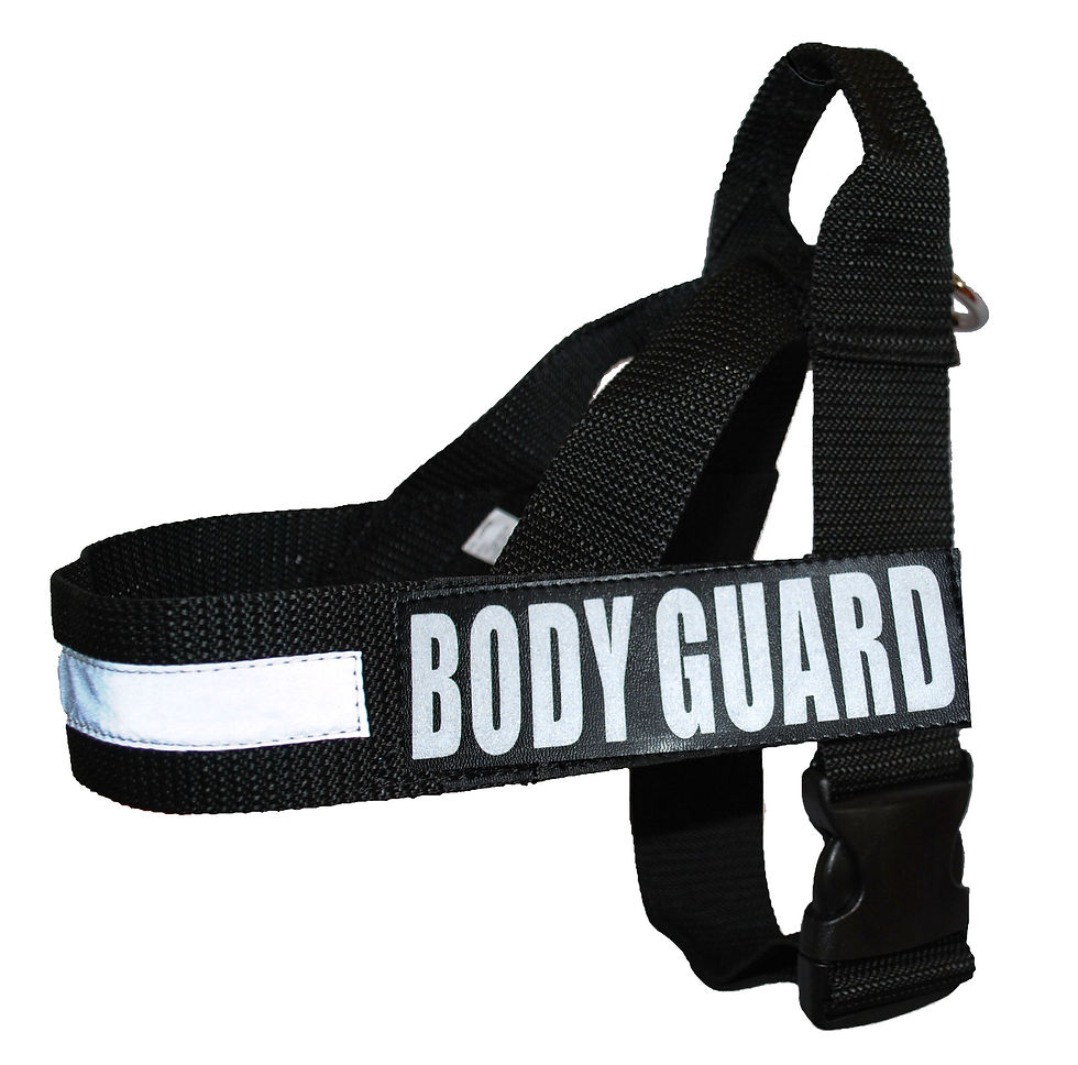 Thumbnail: Strap No Pull Harness