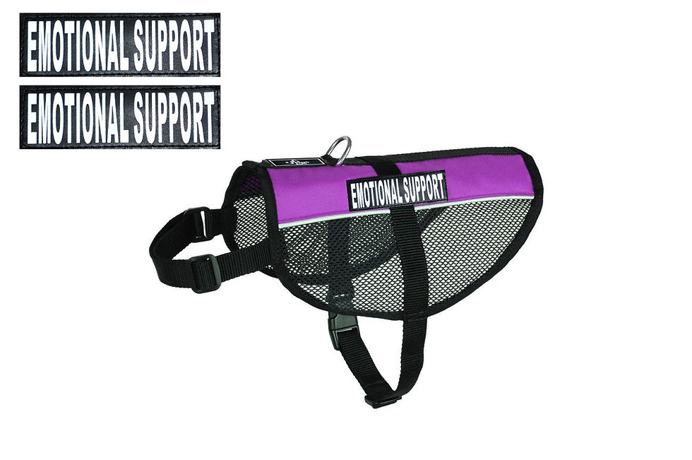 Thumbnail: Mesh "Emotional Support" Vest