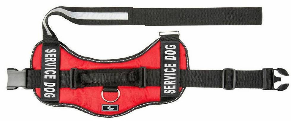 Thumbnail: Dog Harness with 2 Removable Saddle Bags & 2 Removable Patches.