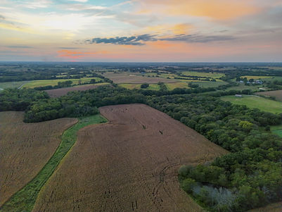 Project DEER-1-18.jpg