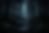 forest from chat 01.png