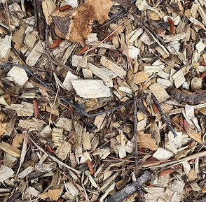 trail mix.jpg
