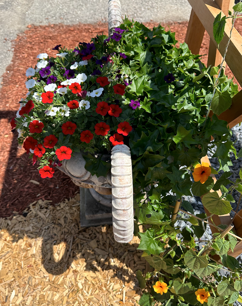 Flowers grow beautifully with Garden Soil
