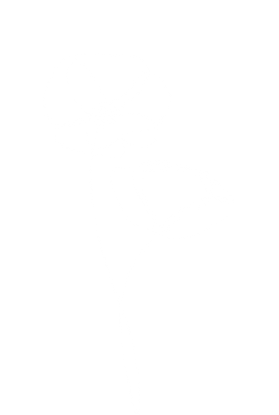 Poppy vector image