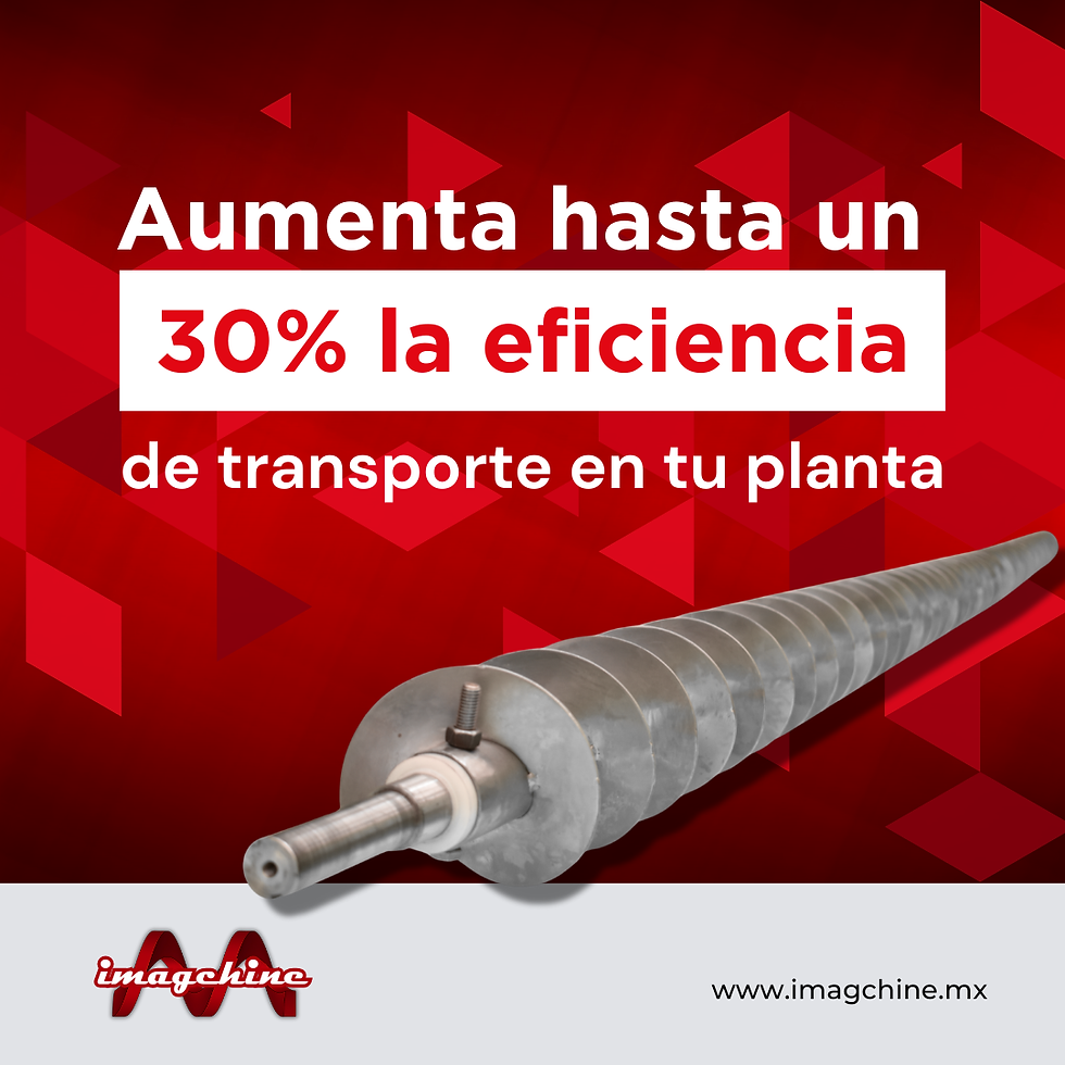 Tornillo sinfín inoxidable