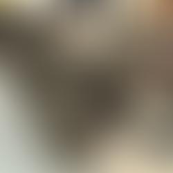 Helicoidal de acero inoxidable diseñado para resistir ambientes corrosivos.