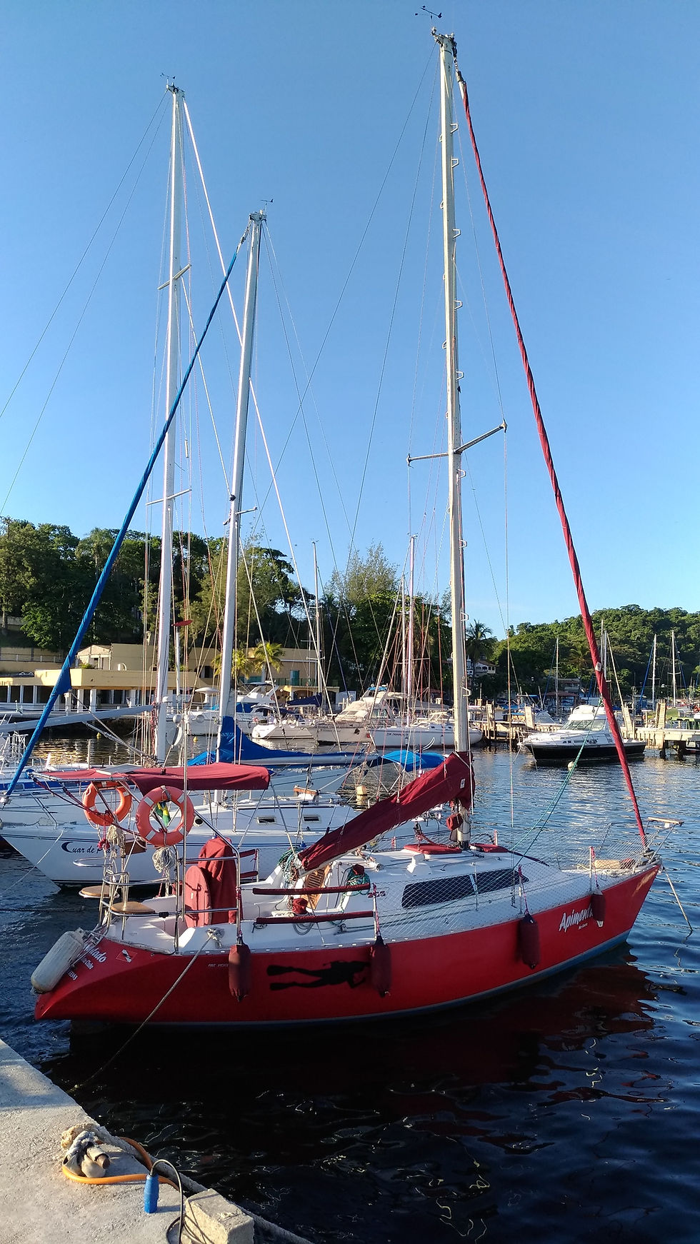 FOTO 5