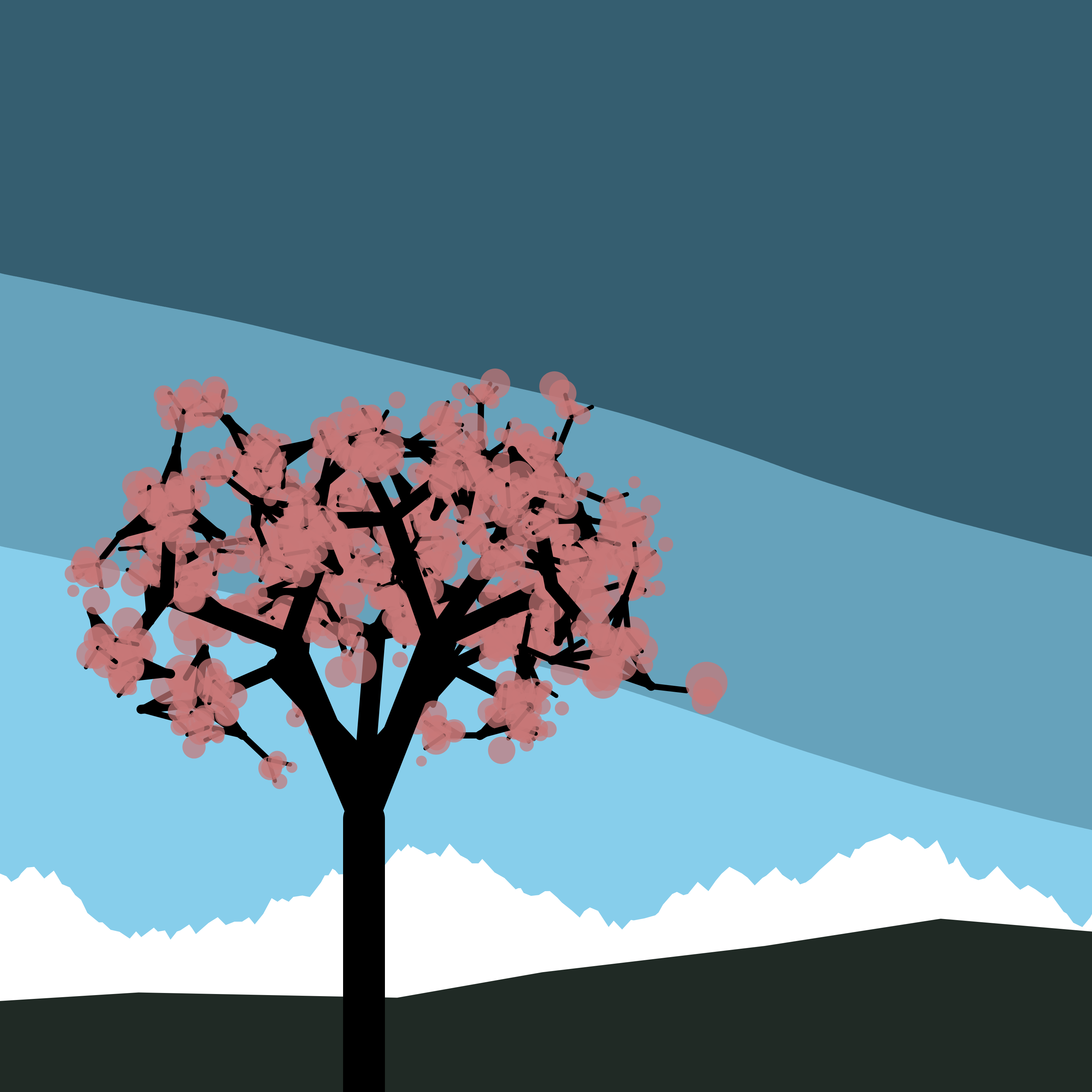 Blossom