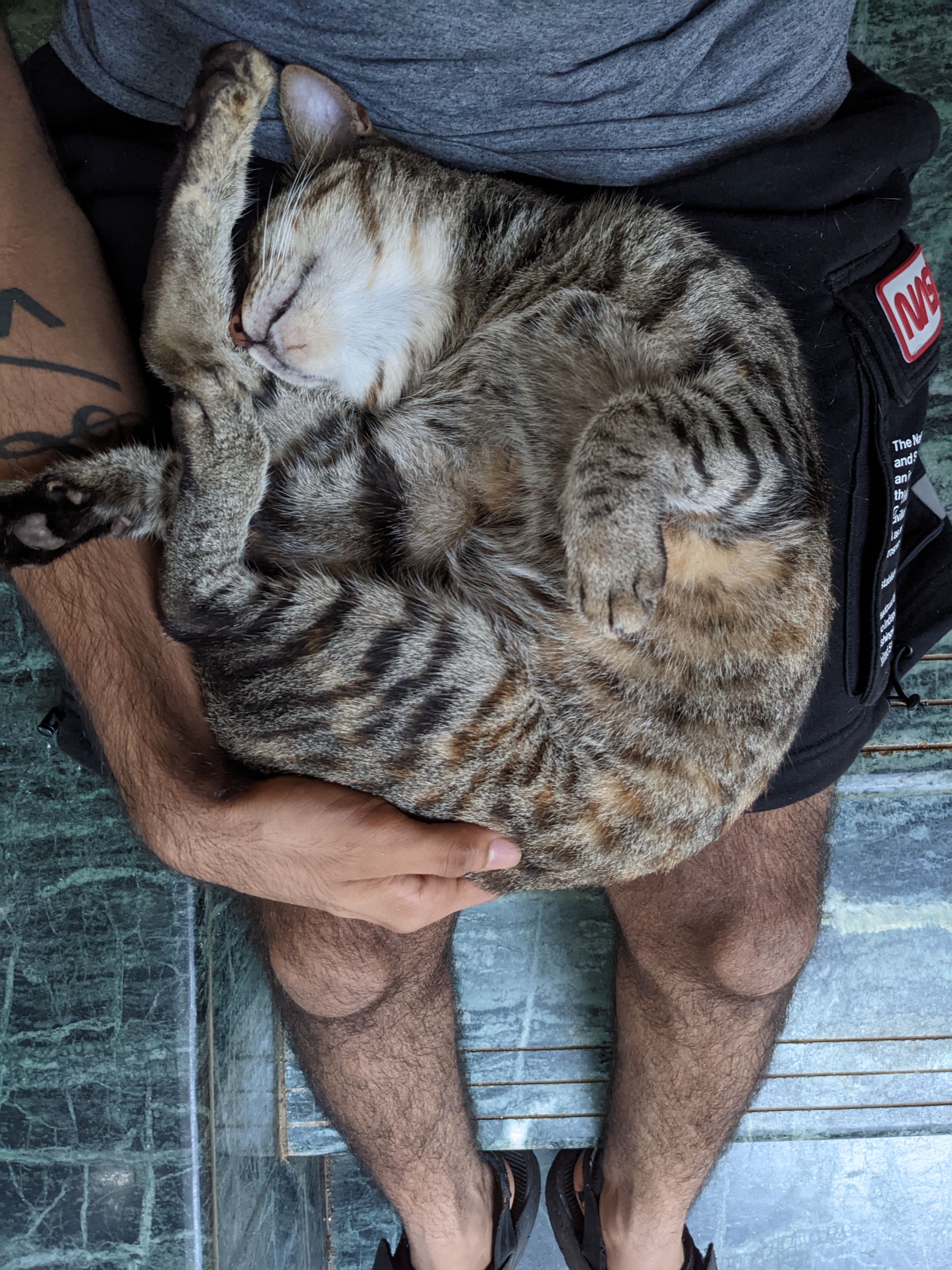 Comfort