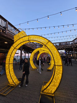 Ornamental Holiday Installation