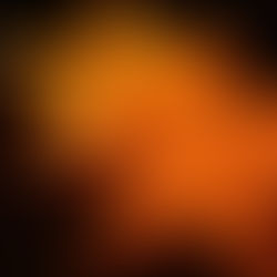 Title: A Single Father’s Star-Lit Journey: Perseverance, Love, and Lessons Under One Roof