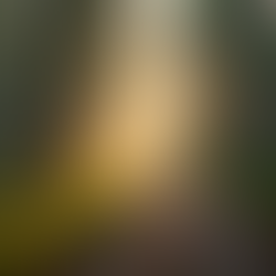 Gratitude for Support During Uncertain Times