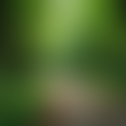 Find Your Path: Turning Challenges into a Life You Love