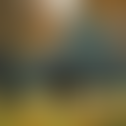 Navigating Fame: What to Do with a Million Followers but No Love