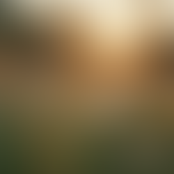 Life Behind the Keyboard: A Peek Into the Unknown World of a Passionate Writer and Creator