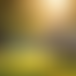 Navigating the Challenges of Dating an Ex with Trauma: What You Need to Know