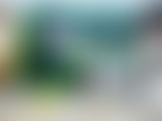 03 novas leis votadas em definitivo para o município e 03 novas entram em apreciação