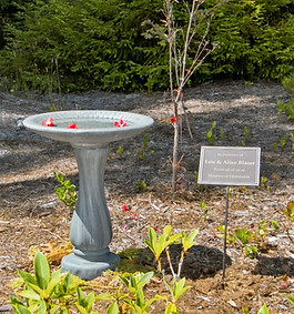 Tribute Gift - bird bath original_edited.jpg