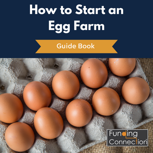 How to Start an Egg Farm EBook Funding Connection