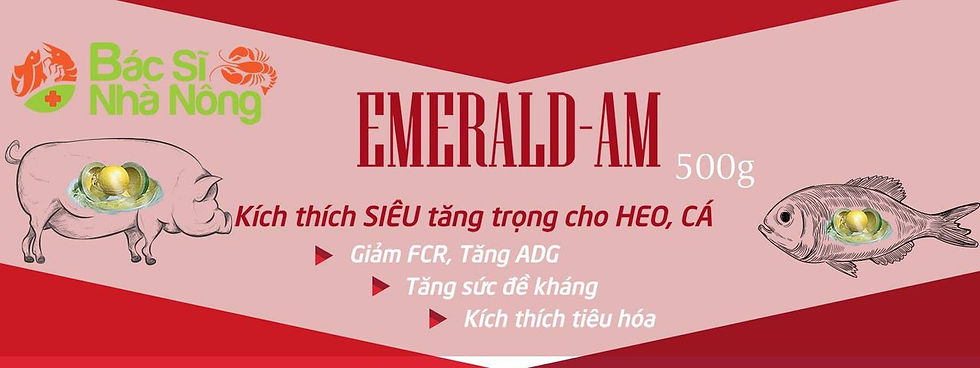 banner-bacsinhanong.jpg