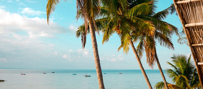 Cocotiers a vilanculos