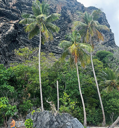Samana en sortie bateau