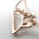 Thumbnail: Nice rose gold polished finish on these map earrings