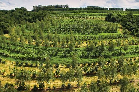 adaptação as mudanças climáticas
