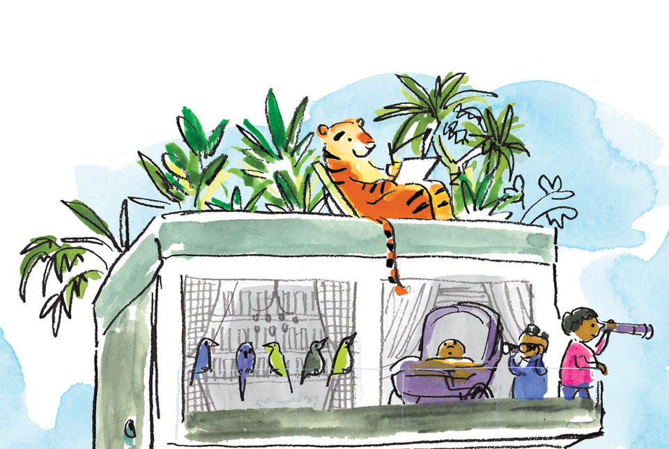 tiger on rooftop