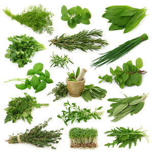 Homeobotanicals and Acupuncture in Ealing