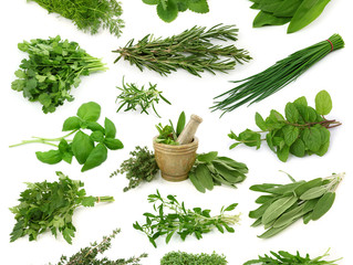 8 fleurs et herbes à mettre au jardin pour une pharmacie naturelle