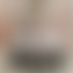 香港大學傑出學生暑期歷史文化課程