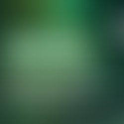 THE LEGAL FRAMEWORK GRADUALLY TAKES SHAPE IN THE BANKING SECTOR WITH THE APPLICATION OF AI 