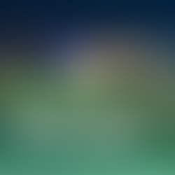 🌐 스타트업 지원에서 혁신경제를 위한 ‘훈련’으로의 전환