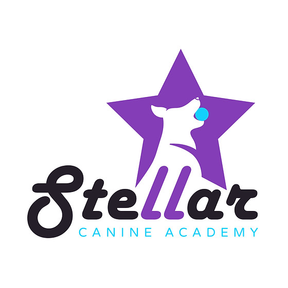 59296_Stellar Canine Academy_AT_03.jpg