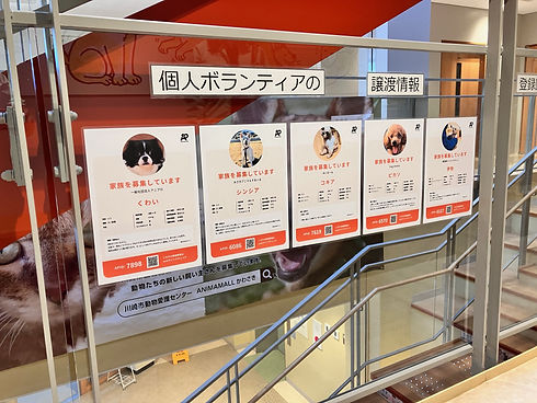 川崎動物愛護センター掲示.jpg