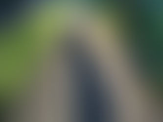 Langer Schatten einer Person auf einem sonnigen Gehweg im Wald.