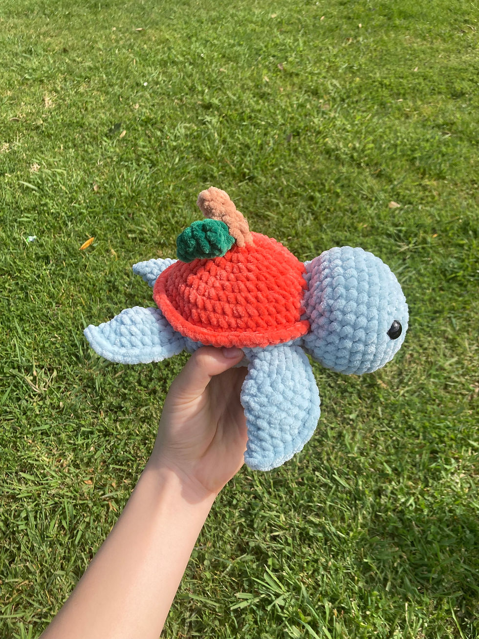 Thumbnail: Apple Turtle