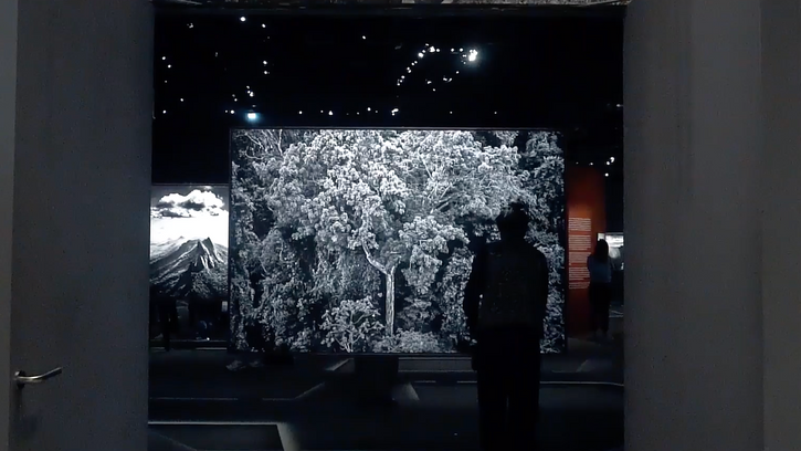 Capture d’écran 2021-11-04 à 08.22.02.png