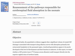 2004 - Child's Nervous System Journal - Cerebrospinal Fluid Absorption