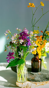 snijbloemen.jpg
