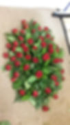 IMG-20171103-WA0016.jpeg