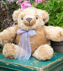 Weighed Teddy Bear, The Comfort Cub