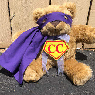 Super Comfort Cub | My Feelings Book!