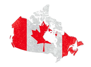 Screenshot 2026-01-19 131143_edited.png