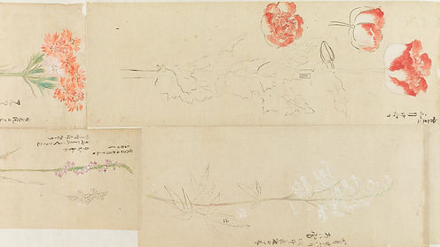 A-216_E0035666.jpg